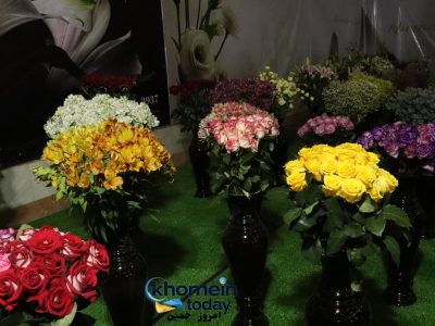 دومین روز جشنواره گل و گلاب شهابیه