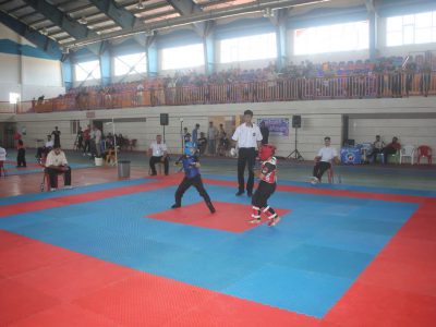 آیین افتتاحیه پرشور مسابقات استانی کونگ فو در خمین برگزار شد