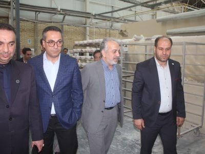 بازدید رایزنان اقتصادی وزارت خارجه از شرکت ویستا اعتماد ایرانیان خمین