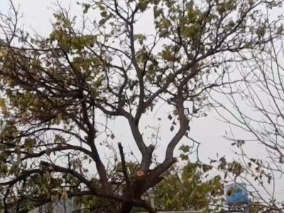 بارش زیبای باران شهرستان خمین