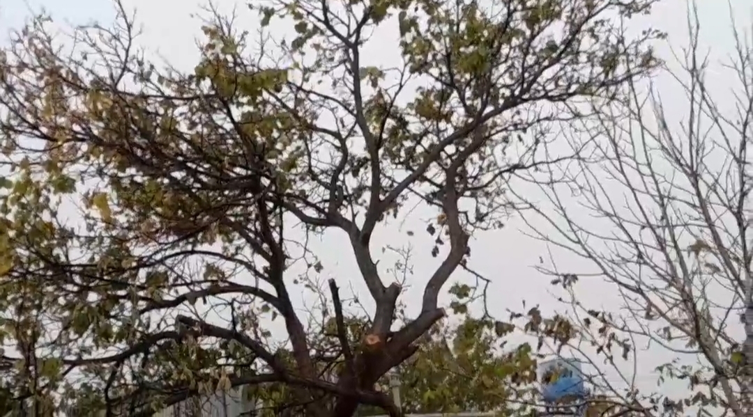 بارش زیبای باران شهرستان خمین