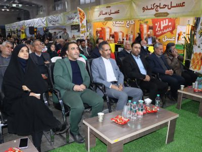 شور و نشاط در دومین روز جشنواره زعفران و عسل خمین